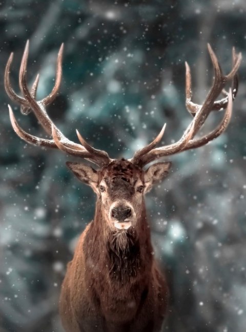 HAFT DIAMENTOWY JELEŃ ZIMA ŚNIEG MOZAIKA ZESTAW 5D