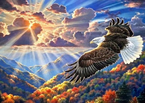 [30x40] HAFT DIAMENTOWY PTAK ORZEŁ ZACHÓD SŁOŃCA CHMURY 5D