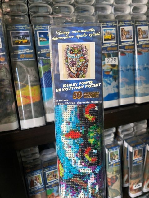 HAFT DIAMENTOWY SOWA KOLOROWA KWIAT MOZAIKA 5D