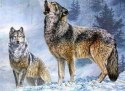 HAFT DIAMENTOWY WILKI ZIMA ŚNIEG WILK ZESTAW 5D