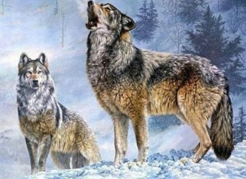 HAFT DIAMENTOWY WILKI ZIMA ŚNIEG WILK ZESTAW 5D