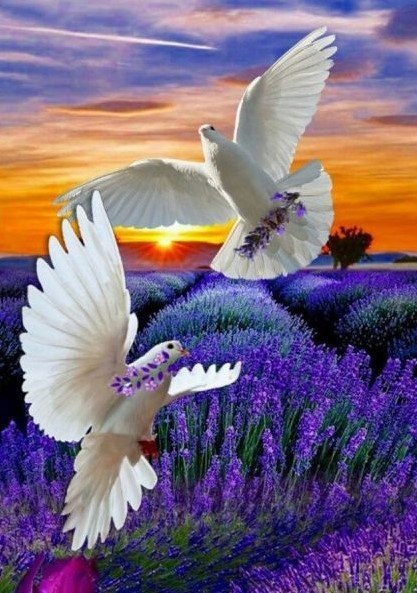 Haft Diamentowy Diamond Paiting Mozaika Diamentowa Malowanie diamentami  Hafty Diamentowe