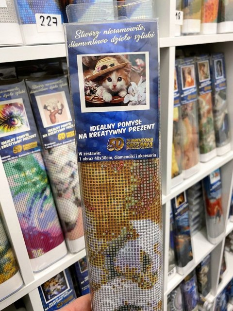 HAFT DIAMENTOWY KOT KOTEK W KAPELUSZU KWIATY 5D