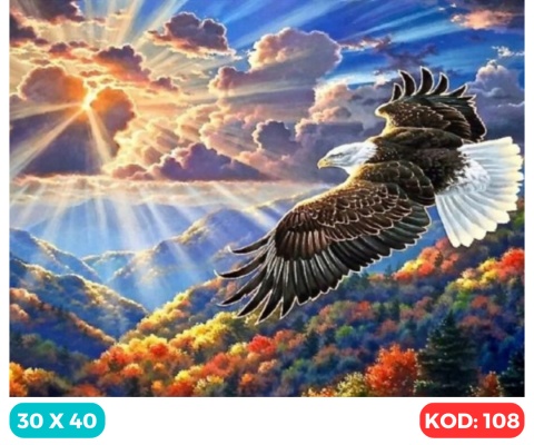[30x40] HAFT DIAMENTOWY PTAK ORZEŁ ZACHÓD SŁOŃCA CHMURY 5D