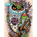 HAFT DIAMENTOWY SOWA KOLOROWA KWIAT MOZAIKA 5D