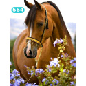 HAFT DIAMENTOWY KOŃ KONIE KWIATY DIAMOND PAITING 30X40 WYKLEJANKA 5D
