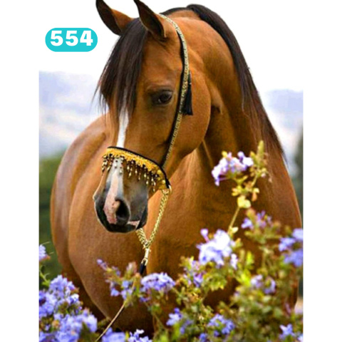 HAFT DIAMENTOWY KOŃ KONIE KWIATY DIAMOND PAITING 30X40 WYKLEJANKA 5D