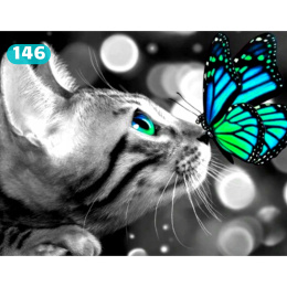 (30x40) Haft Diamentowy Kot Kotek Motyl Czarno Biały Mozaika Diamond Paiting Zestaw 5D
