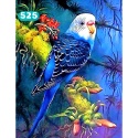 HAFT DIAMENTOWY MOZAIKA DIAMOND PAITING ZESTAW PAPUGA 5D
