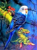 HAFT DIAMENTOWY MOZAIKA DIAMOND PAITING ZESTAW PAPUGA 5D