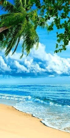 DUŻY HAFT DIAMENTOWY XXL KRAJOBRAZ PLAŻA PALMA HAWAJE LATO 5D