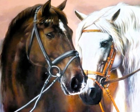 HAFT DIAMENTOWY DIAMOND PAITING MOZAIKA KONIE KOŃ BIAŁY ZESTAW 5D