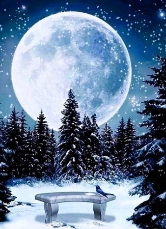 HAFT DIAMENTOWY LAS PEŁNIA KSIĘŻYC LAS ŚNIEG DIAMOND PAITING MOZAIKA ZESTAW