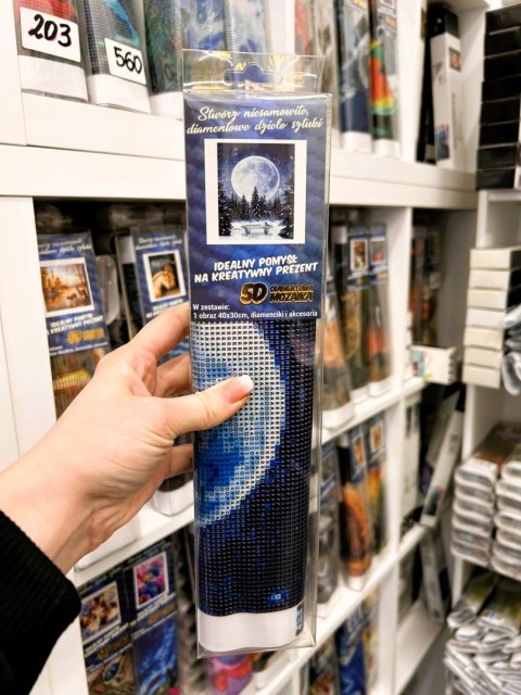 HAFT DIAMENTOWY LAS PEŁNIA KSIĘŻYC LAS ŚNIEG DIAMOND PAITING MOZAIKA ZESTAW