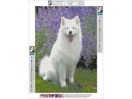 Haft Diamentowy Pies Samoyed Obraz Biały Diamond Paiting Mozaika 30x40cm