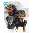 Haft Diamentowy ROTTWEILER Pies Diamond Paiting Mozaika Zestaw Kreatywny 5D