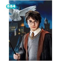 Haft Diamentowy Harry Potter Sowa Bajka Film Diamond Painting Mozaika Zestaw