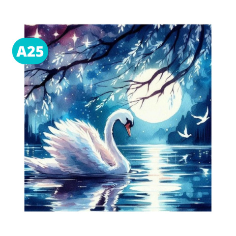 Haft Diamentowy Diamond Painting Mozaika Jezioro Łabędź Księżyc Pełnia