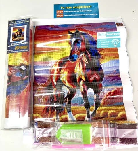 Haft Diamentowy Mozaika Diamond Painting Malowanie Diamentami Koń Konie