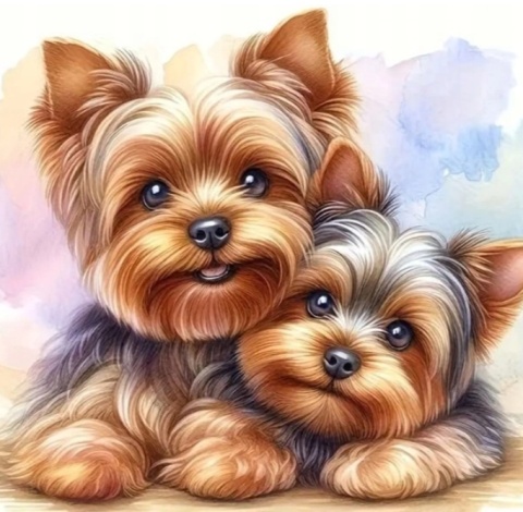 Haft Diamentowy Mozaika Diamond Painting Mozaika Pies Pieski York Jork