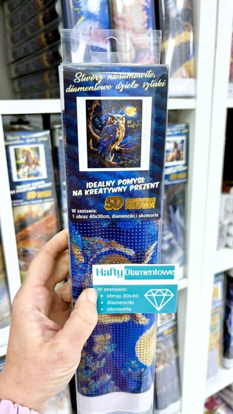 Haft Diamentowy Mozaika Diamond Painting Mozaika Sowa Pełnia Księżyc Noc