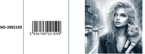 Haft Diamentowy Diamond Painting Mozaika Kobieta Kot Ulica Miasto