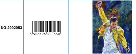 Haft Diamentowy Diamond Painting Mozaika Freddie Mercury Queen Postać