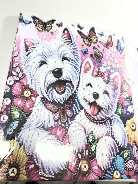 Haft Diamentowy na Płótnie Mandala 7D Pieski Kwiatki