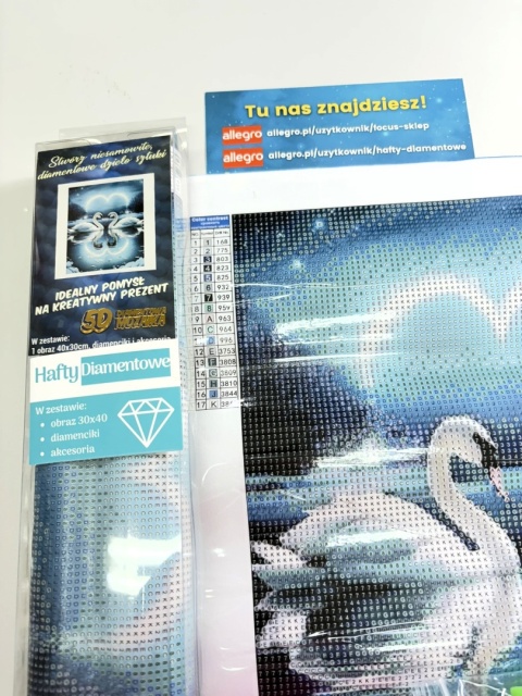 Haft Diamentowy Diamond Painting Mozaika Łabędź Łabędzie Jezioro Nocą