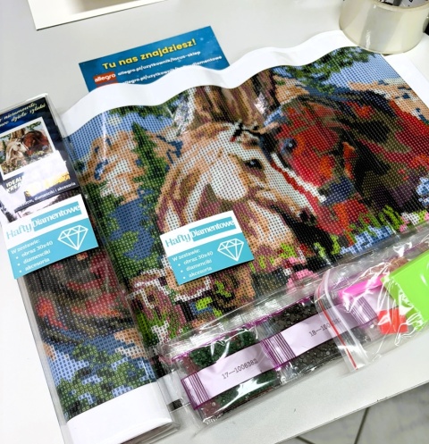 Haft Diamentowy Koń Konie Diamond Painting Mozaika Zestaw