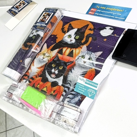 Haft Diamentowy Mozaika Diamond Painting Kot Kotek Kwiaty Dla Dzieci