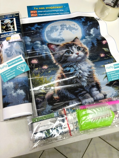 Haft Diamentowy Mozaika Diamond Painting Kotek Księżyc Pełnia Dla Dzieci