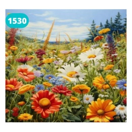 Haft Diamentowy Mozaika Diamond Painting Malowanie Diamentami Kwiaty Polne Maki Słoneczniki