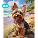 Haft Diamentowy Mozaika Diamond Painting Malowanie Diamentami Pies York Jork Plaża