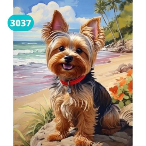 Haft Diamentowy Mozaika Diamond Painting Malowanie Diamentami Pies York Jork Plaża