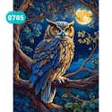 Haft Diamentowy Mozaika Diamond Painting Mozaika Sowa Pełnia Księżyc Noc