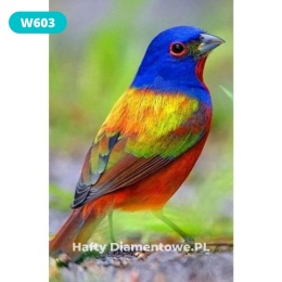 Haft Diamentowy Mozaika Diamond Painting Ptak Las Ptaki Las Krajobraz