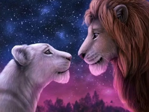 Haft Diamentowy Mozaika Diamond Painting Wyklejkanka