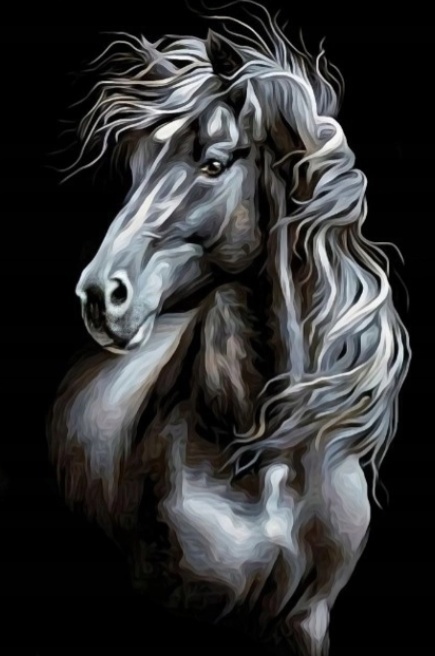 Haft Diamentowy Mozaika Diamond Painting Koń Konie Zwierzęta Czarny