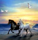 Haft Diamentowy Mozaika Diamond Painting Konie W Galopie Koń