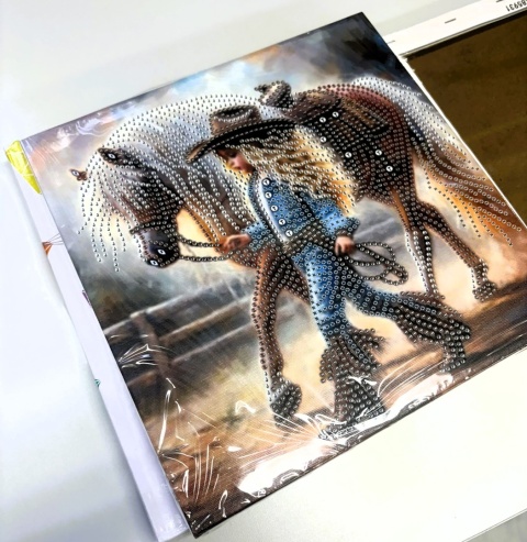 Haft Diamentowy Na Twardym Płótnie 7D Diamond Painting Mozaika Konie Koń