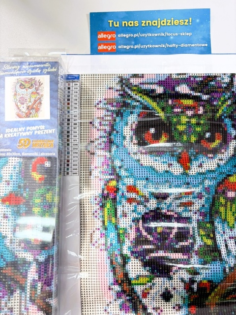 Haft Diamentowy Mozaika Diamond Painting Sowa Wyklejanka DIY