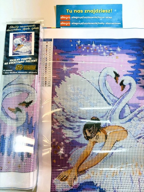 Haft Diamentowy Jezioro Łabędzie Baletnica Kobieta Mozaika Diamond Painting Zestaw