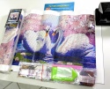 Haft Diamentowy Łabędzie Jezioro Lilia Diamond Paiting Mozaika Zestaw 5D