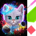Haft Diamentowy Mozaika Wyklejanka 30x40cm Diamond Painting Kot Galaxy Kosmos