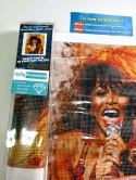 Haft Diamentowy Mozaika Wyklejanka 30x40cm Diamond Painting Tina Turner