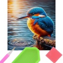 Haft Diamentowy Mozaika Wyklejanka 30x40cm Diamond Painting Zimorodek Ptak