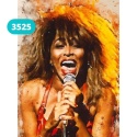 Haft Diamentowy Mozaika Wyklejanka 30x40cm Diamond Painting Tina Turner